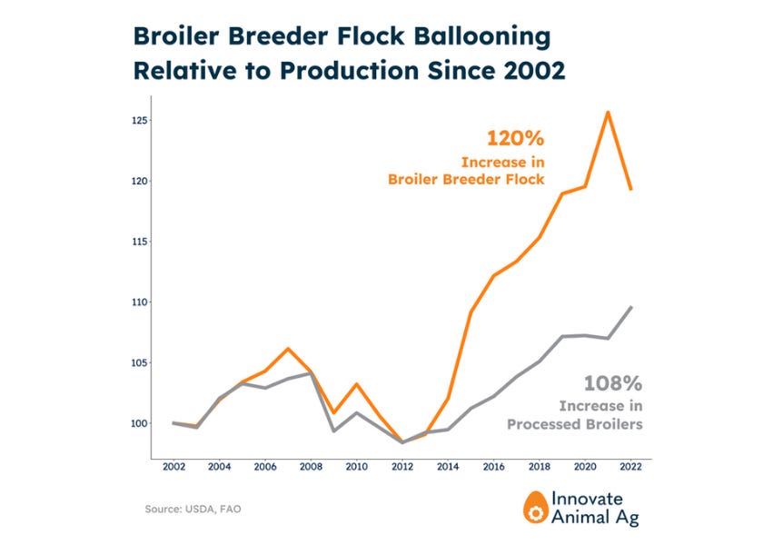 Why is the US Chicken Meat Industry Getting Less Efficient? episode artwork