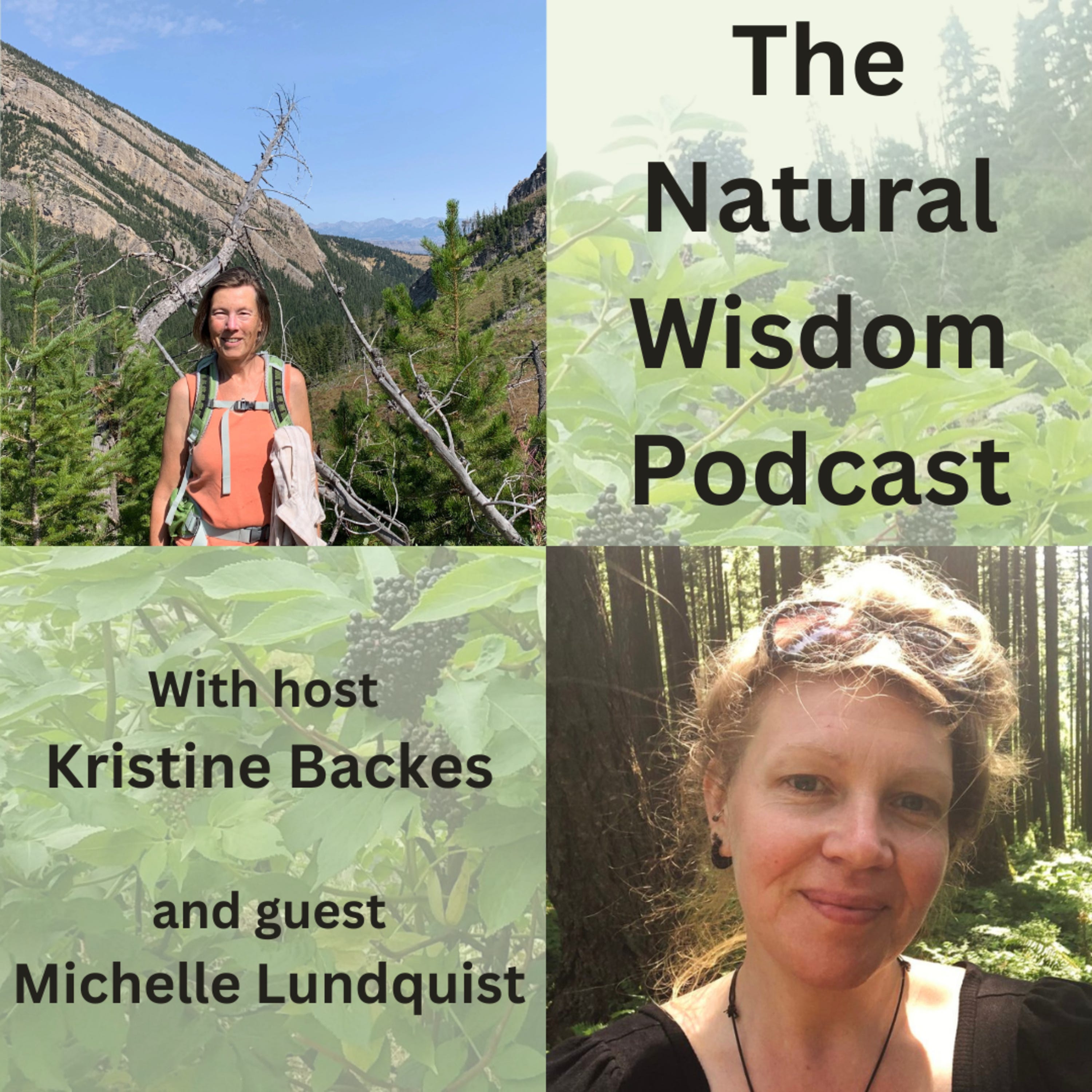 The Natural Wisdom Podcast