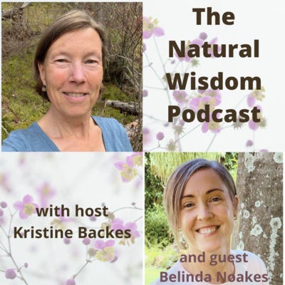 Super sensitive is a super power: a conversation with Belinda Noakes