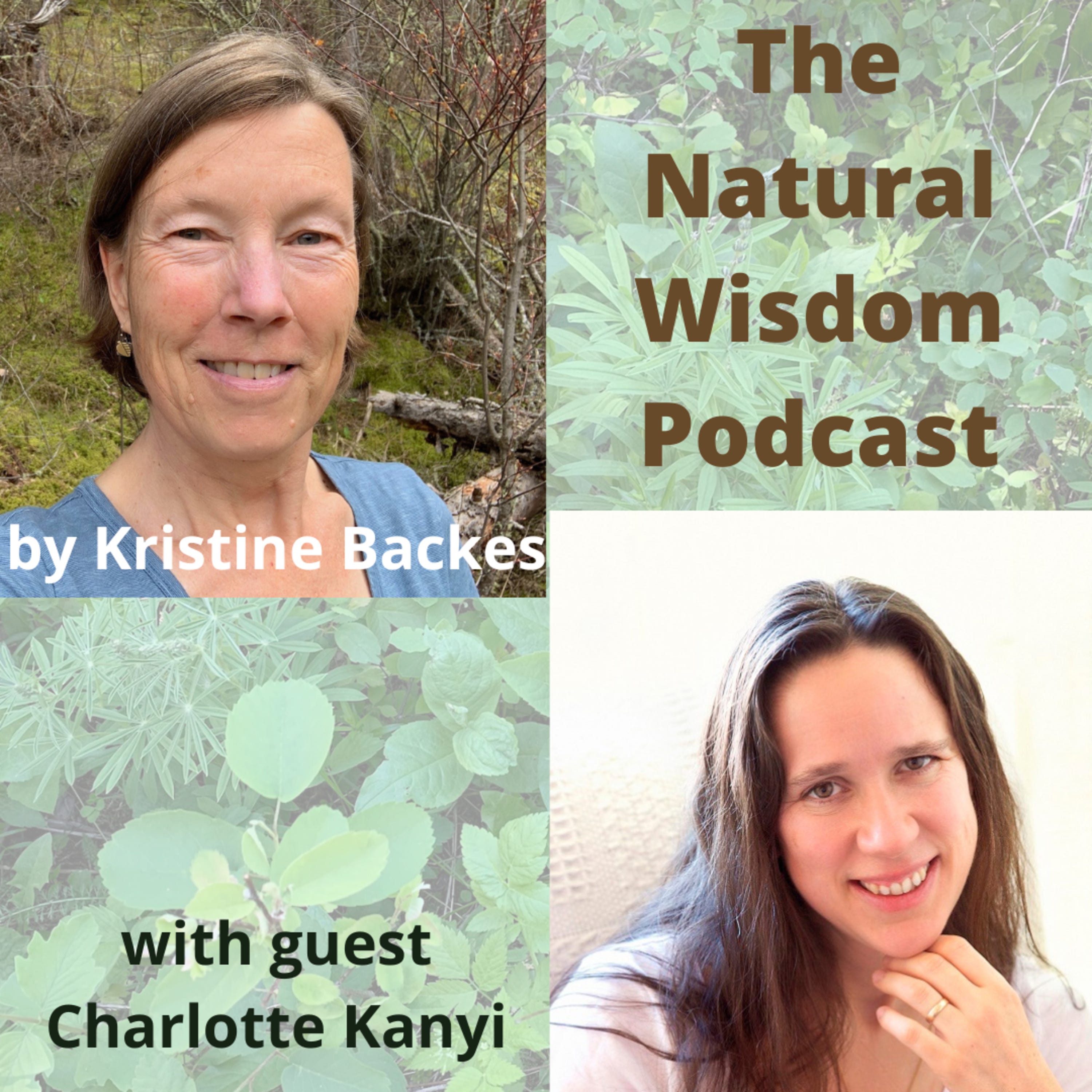 The Natural Wisdom Podcast