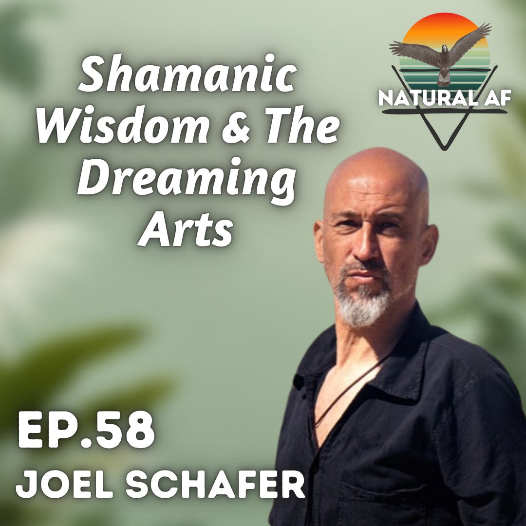 Ep. 58: Joel Schafer | Shamanic Wisdom & The Dreaming Arts
