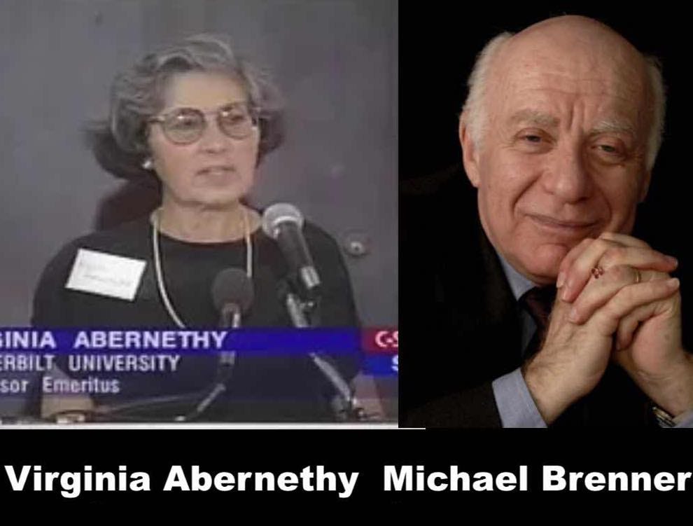 Anthropology Prof. Virginia Abernethy on “Born Abroad”; Int. Affairs Prof. Michael Brenner on “America Declares War”