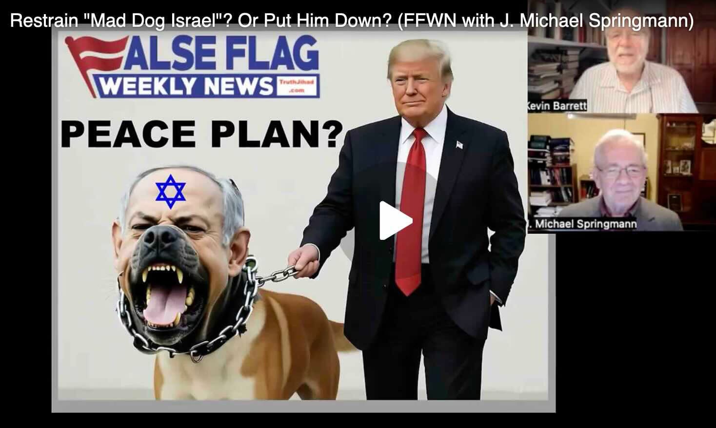 Restrain the Mad Dog? Or Put Him Down?