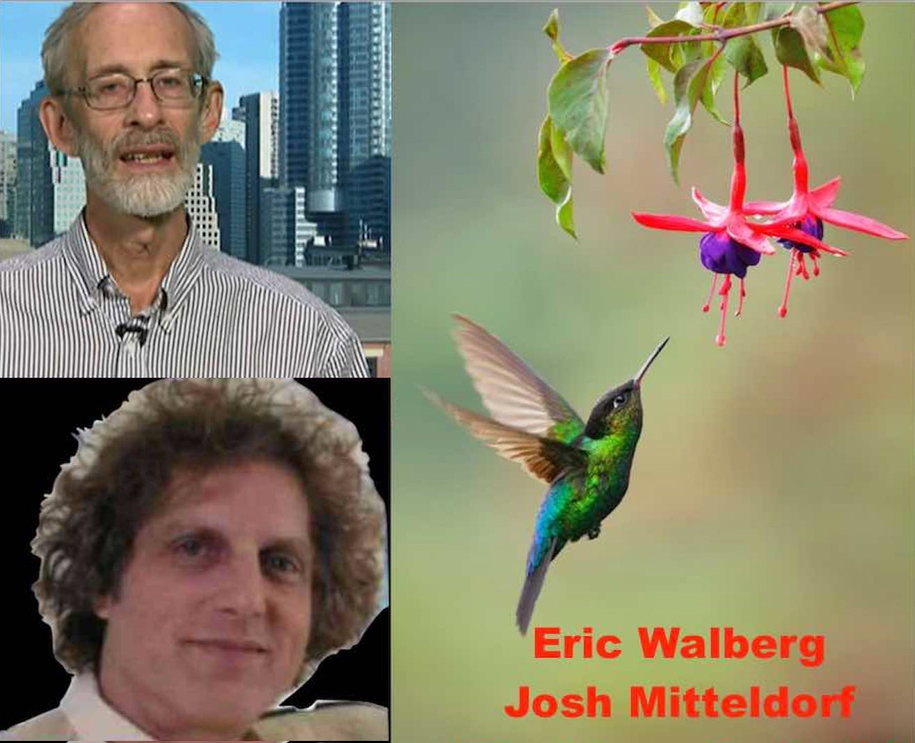 “The Evolution of Beauty” with Eric Walberg and Josh Mitteldorf