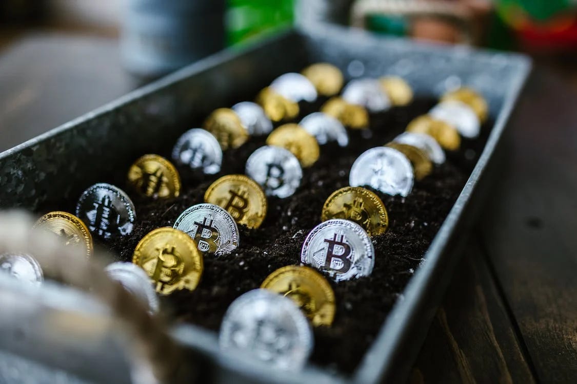 Michael Burry: Crypto Audits "essentially meaningless" episode artwork