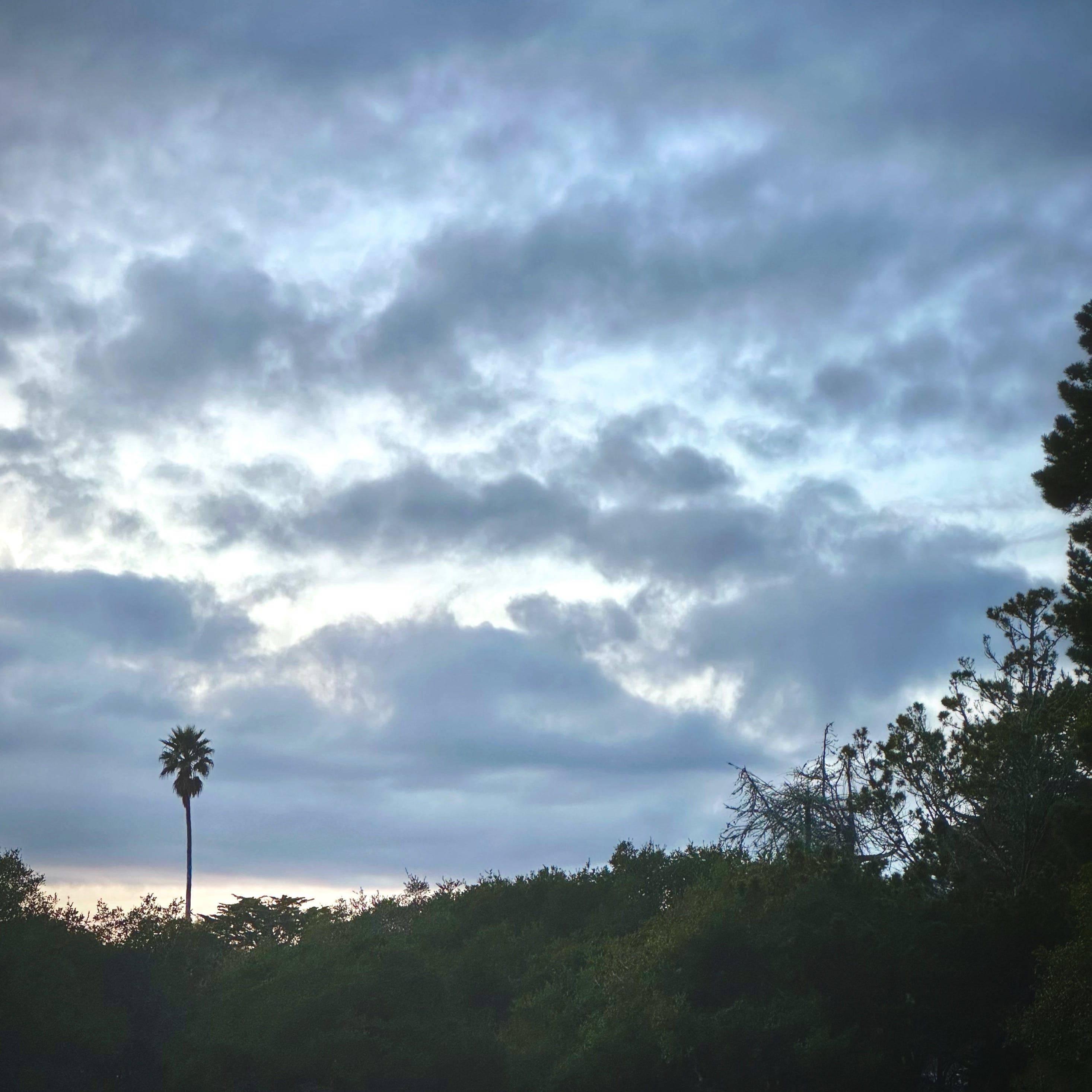 The Writer\'s Journey with Laura Davis Podcast