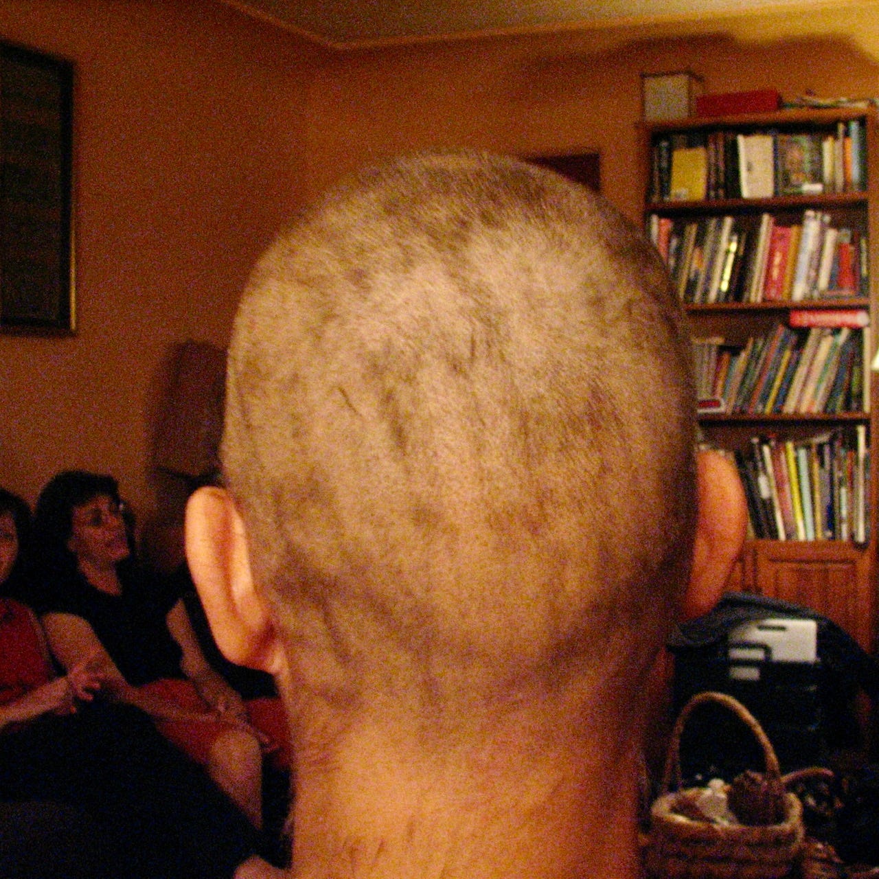 The Writer\'s Journey with Laura Davis Podcast