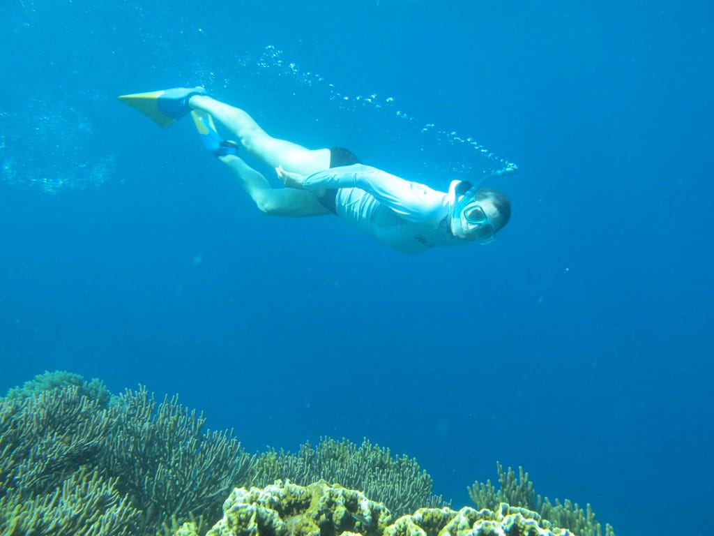 The Writer\'s Journey with Laura Davis Podcast