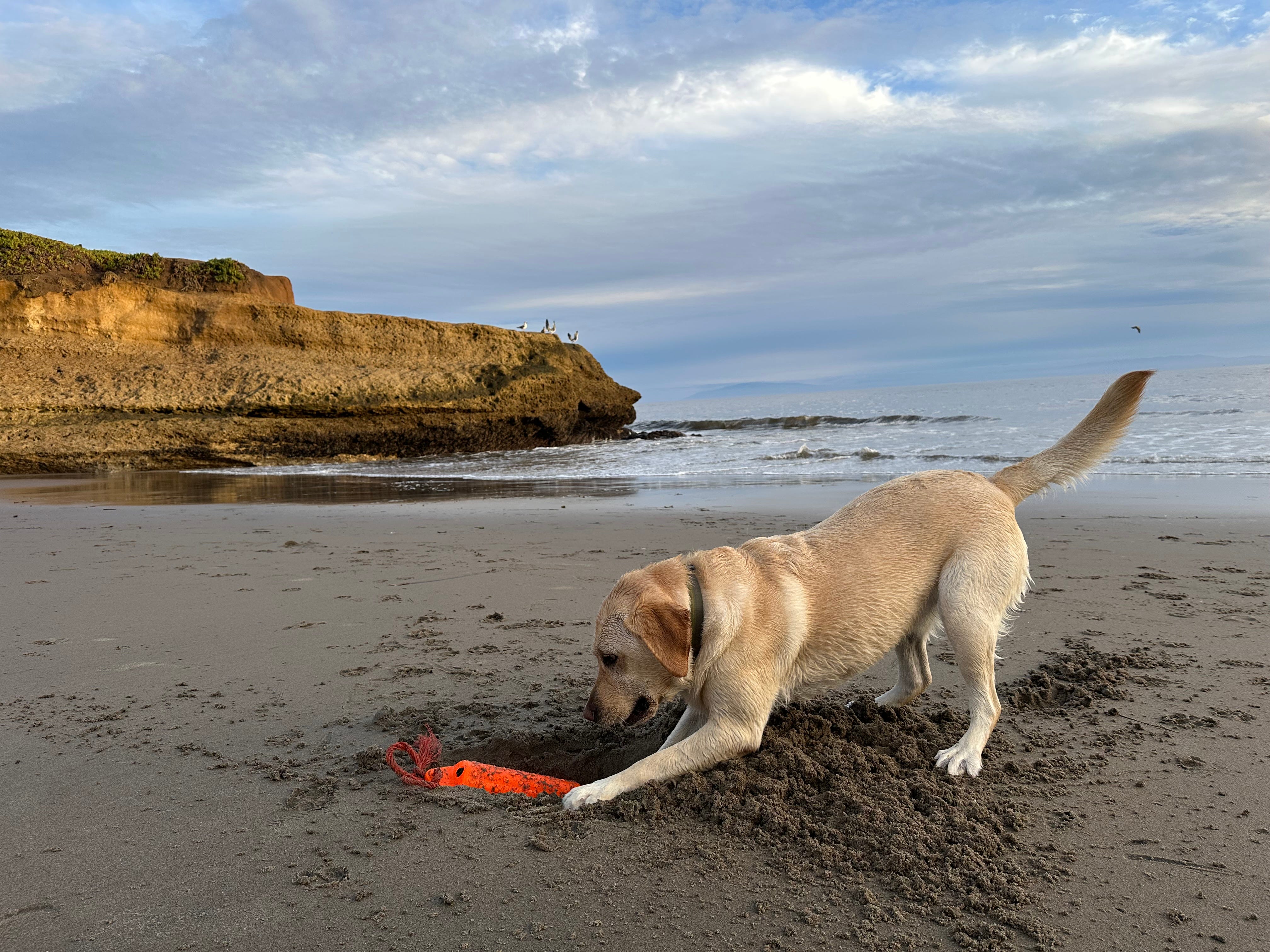 The Writer\'s Journey with Laura Davis Podcast