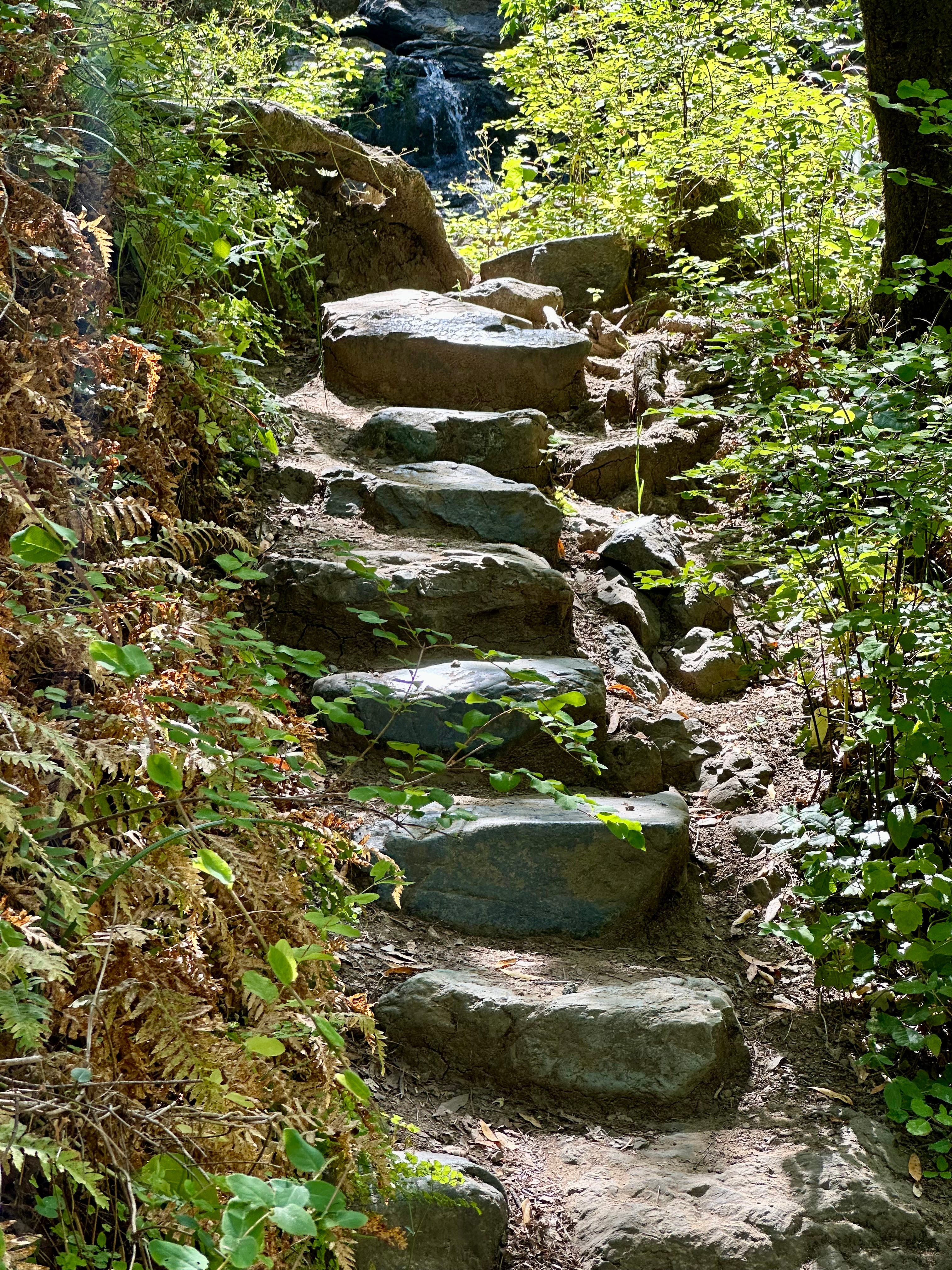 The Writer\'s Journey with Laura Davis Podcast