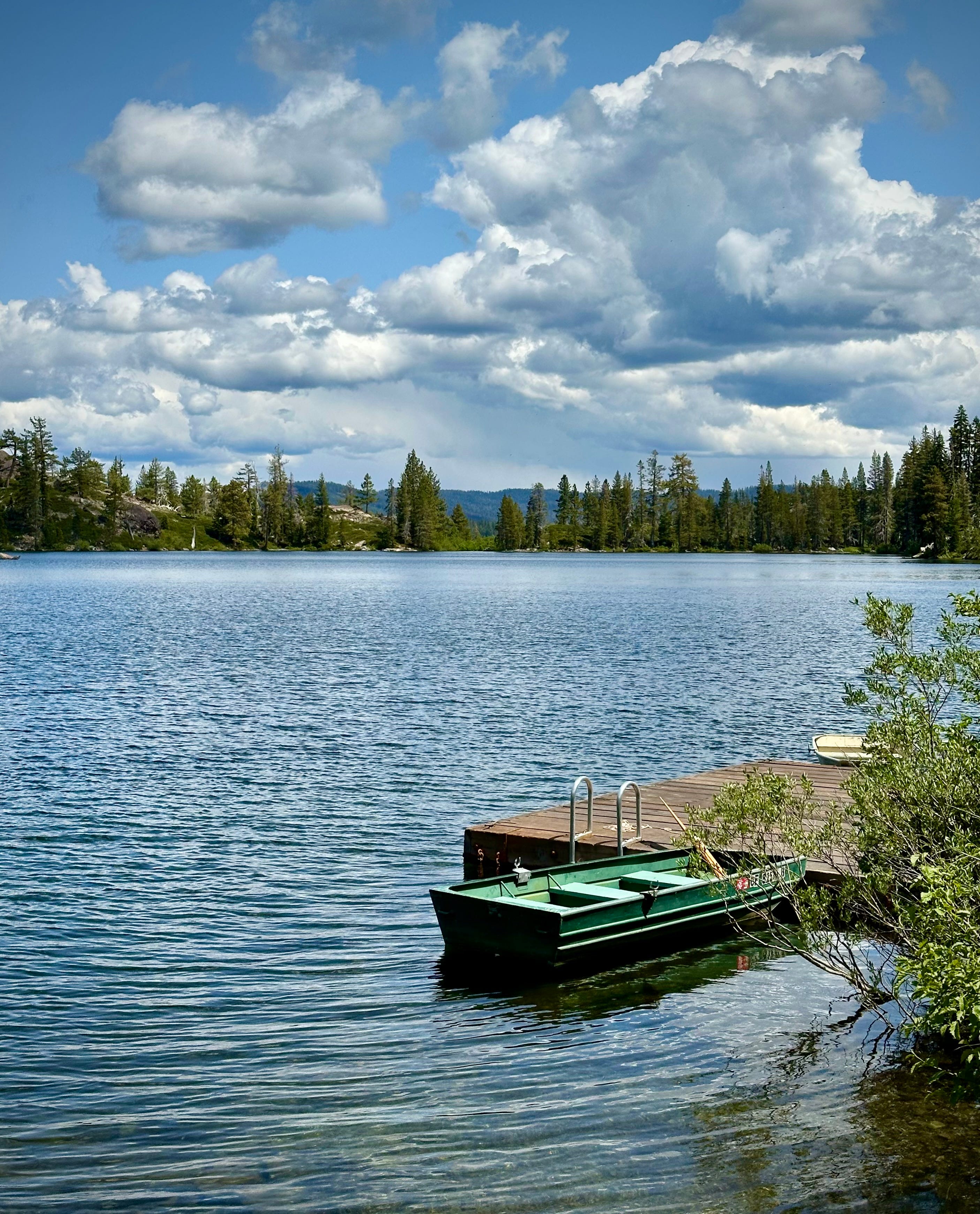 The Writer\'s Journey with Laura Davis Podcast