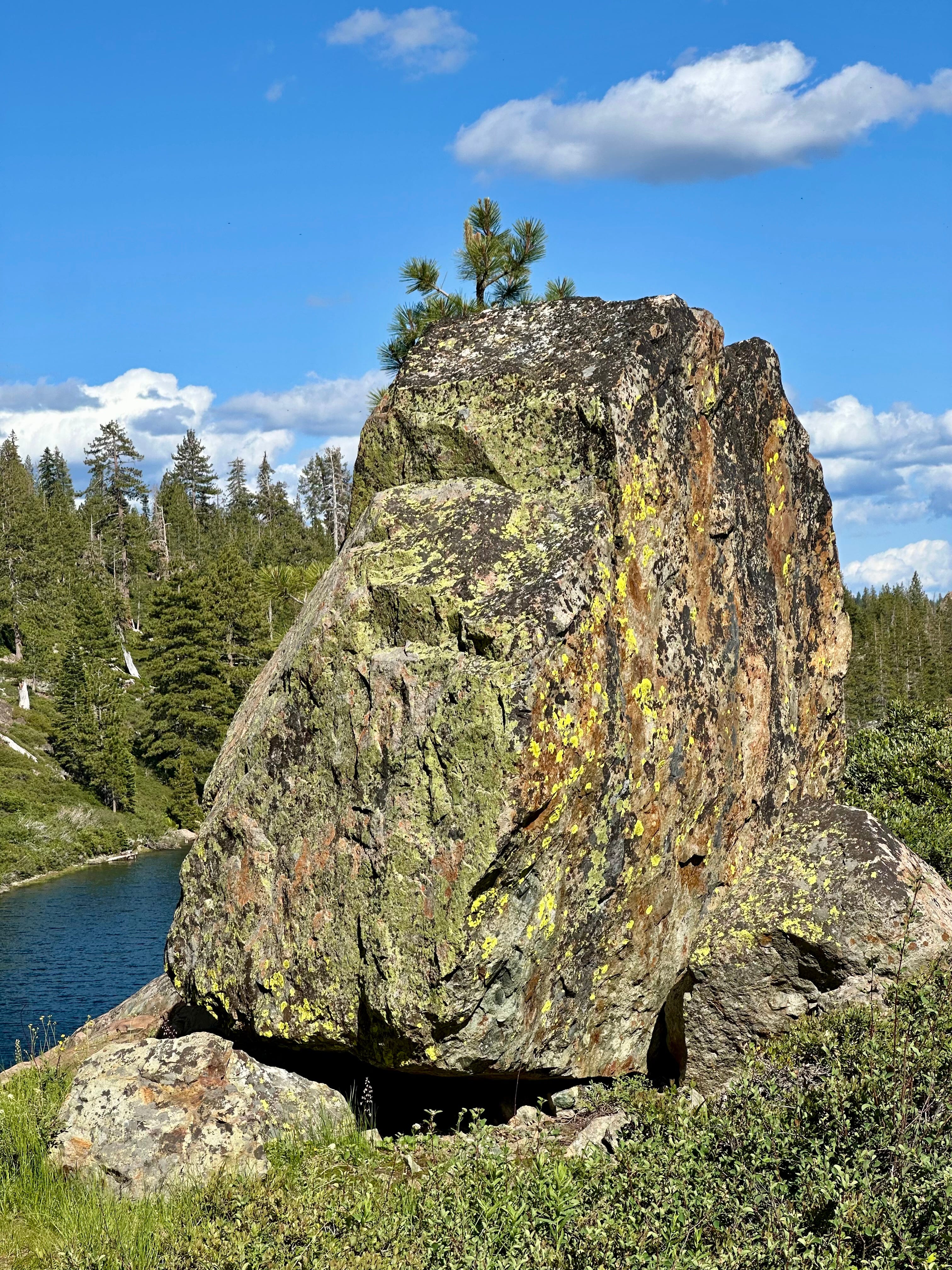 The Writer\'s Journey with Laura Davis Podcast