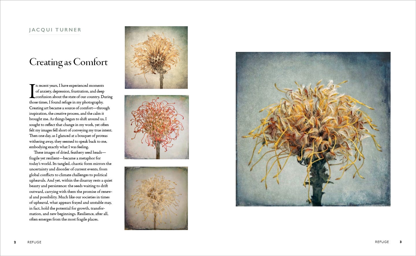 The Writer\'s Journey with Laura Davis Podcast