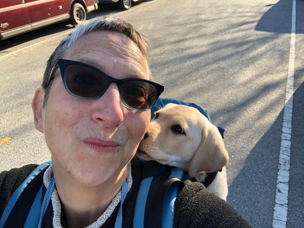 The Writer\'s Journey with Laura Davis Podcast