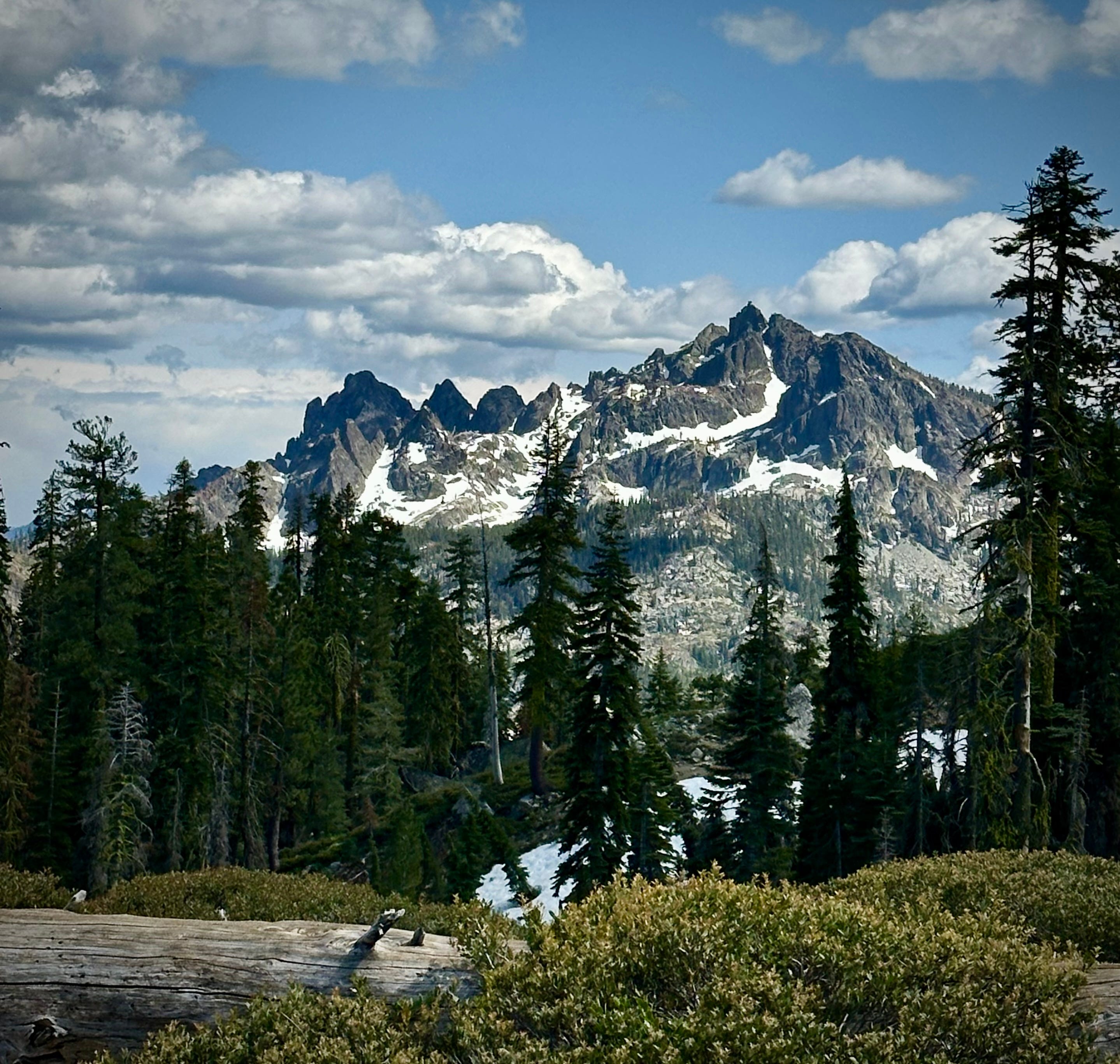 The Writer\'s Journey with Laura Davis Podcast