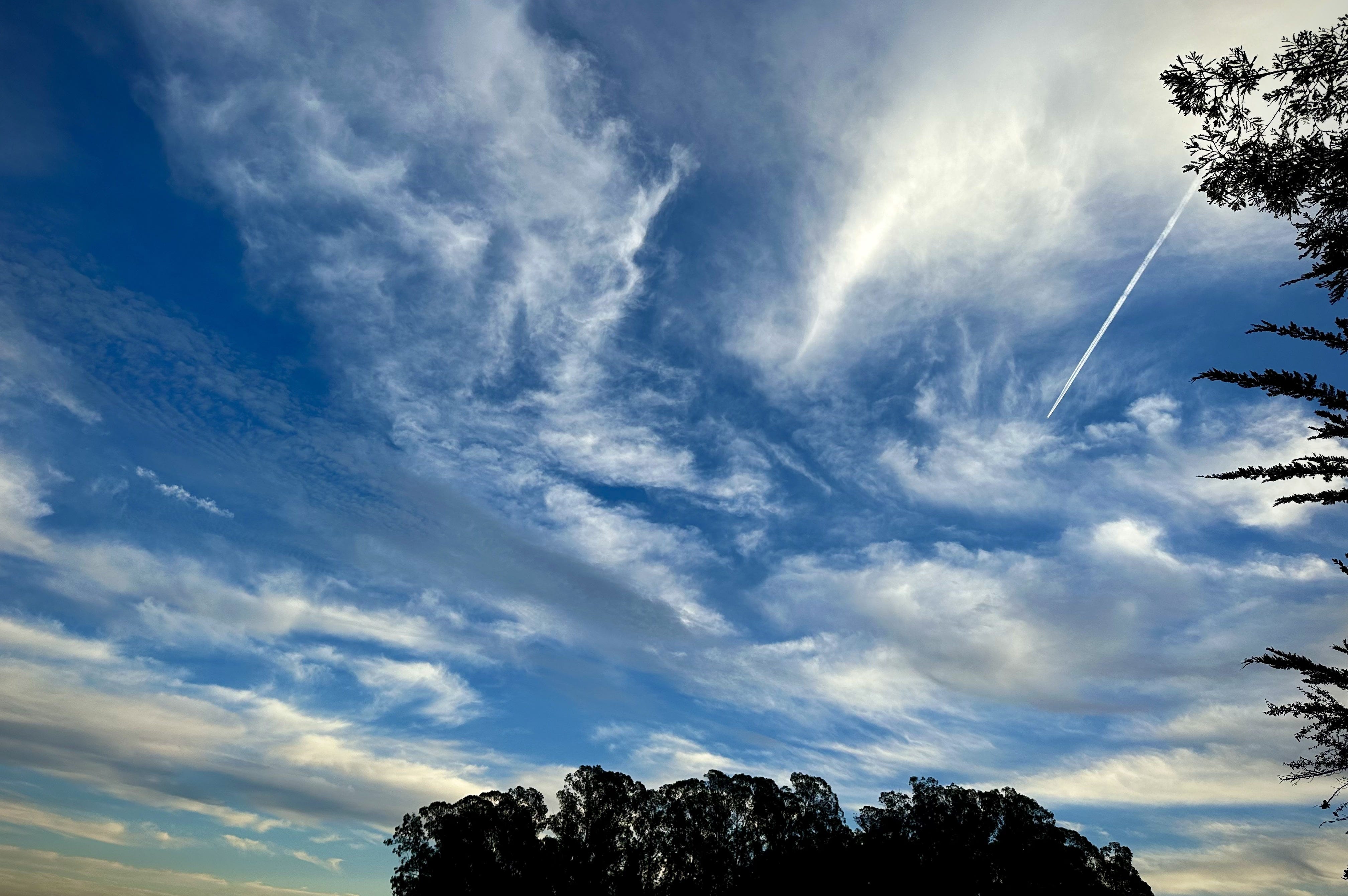 The Writer\'s Journey with Laura Davis Podcast