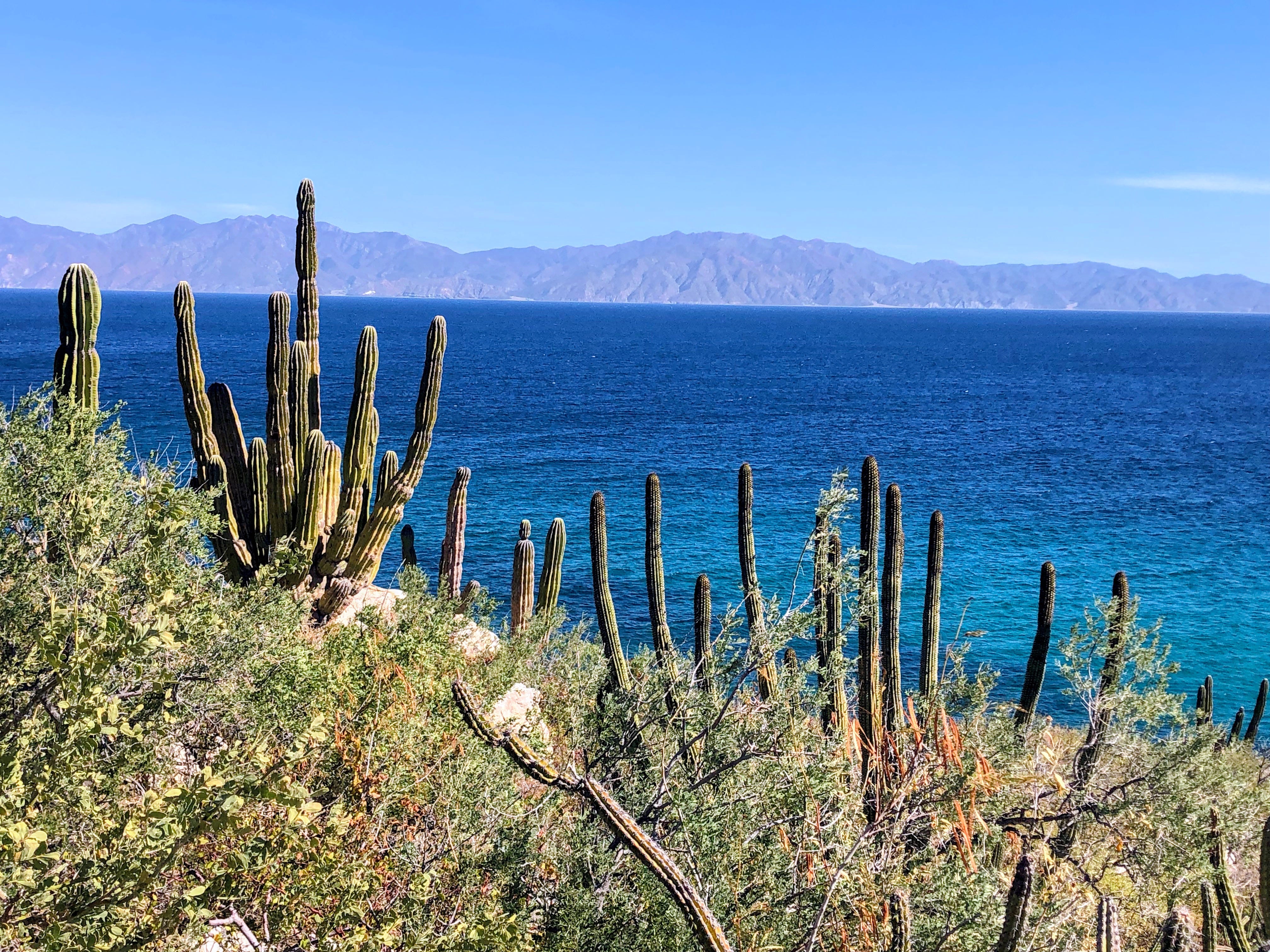 Join Me in Baja: A Memoir Retreat on the Sea of Cortez episode artwork