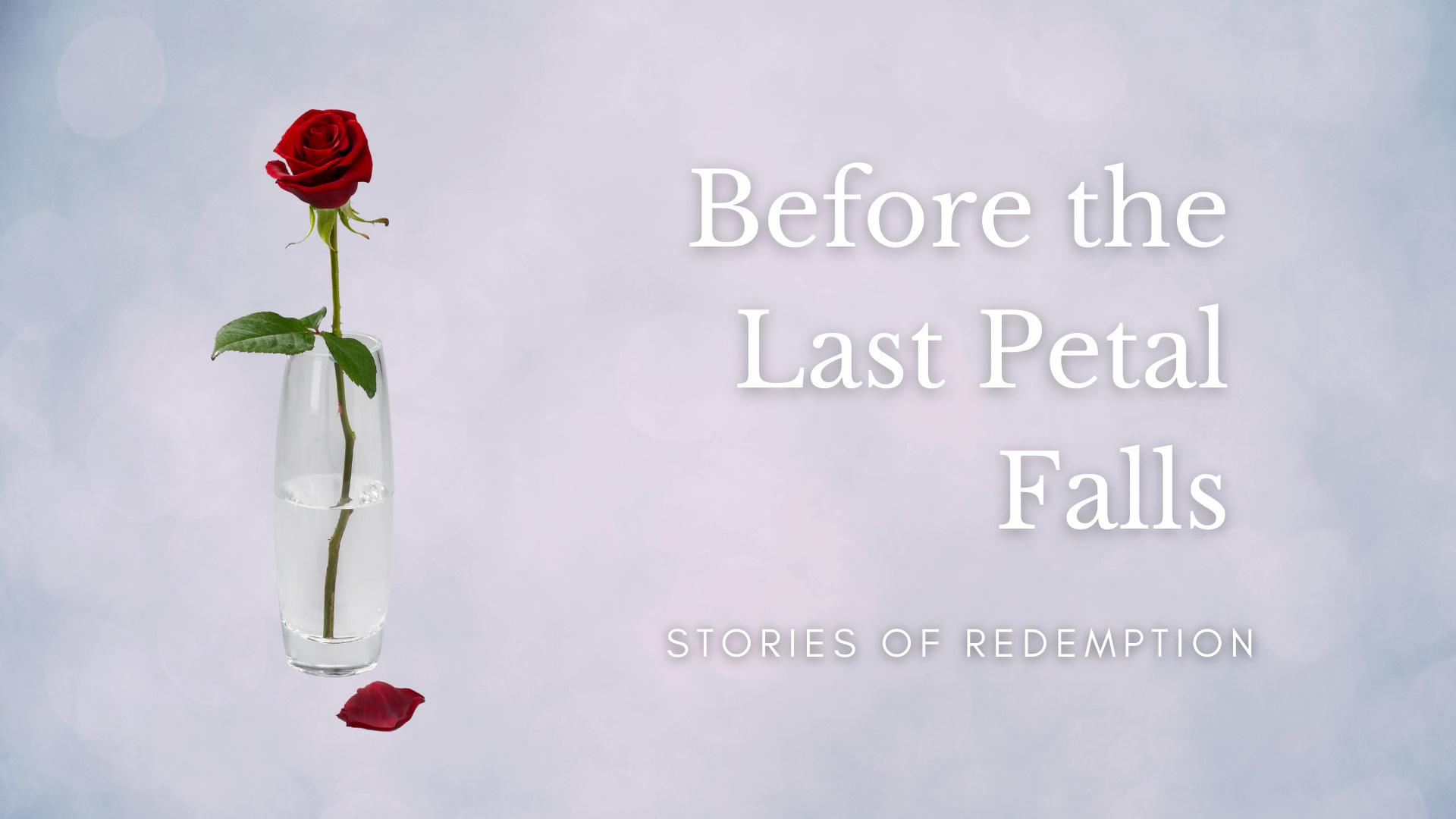 Before the Last Petal Falls episode artwork