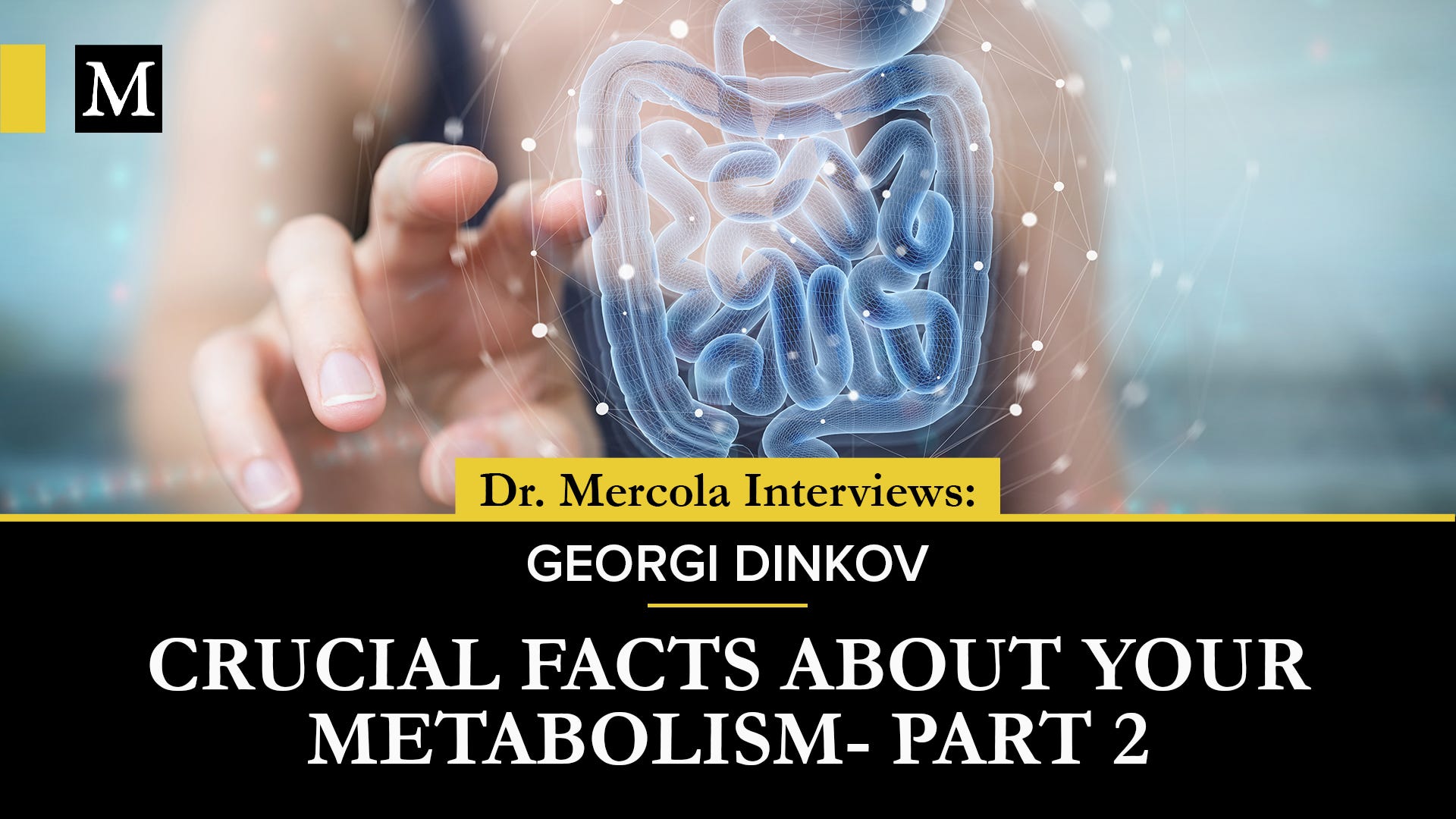 Crucial Facts About Your Metabolism - Discussion Between Georgi Dinkov & Dr. Mercola