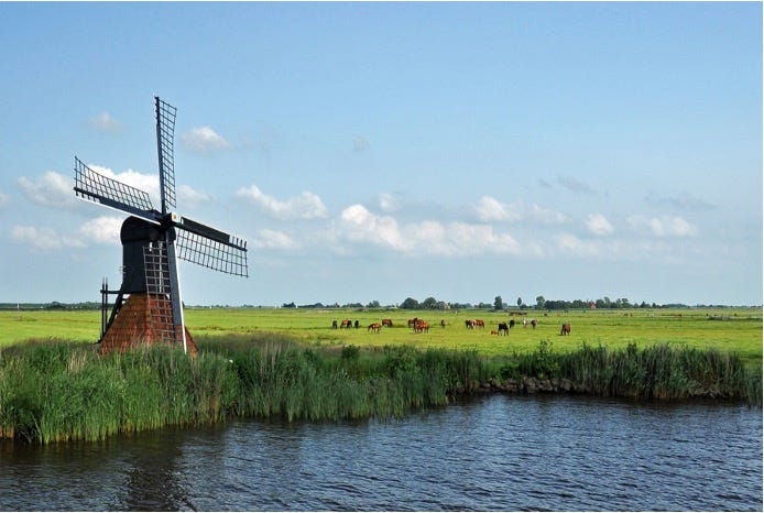 Food4Innovations - gesprekken over innovatie en technologie in agrifood sector.