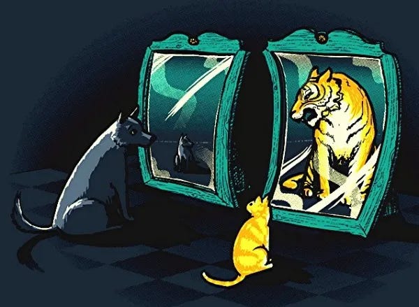 Belief or Delusion