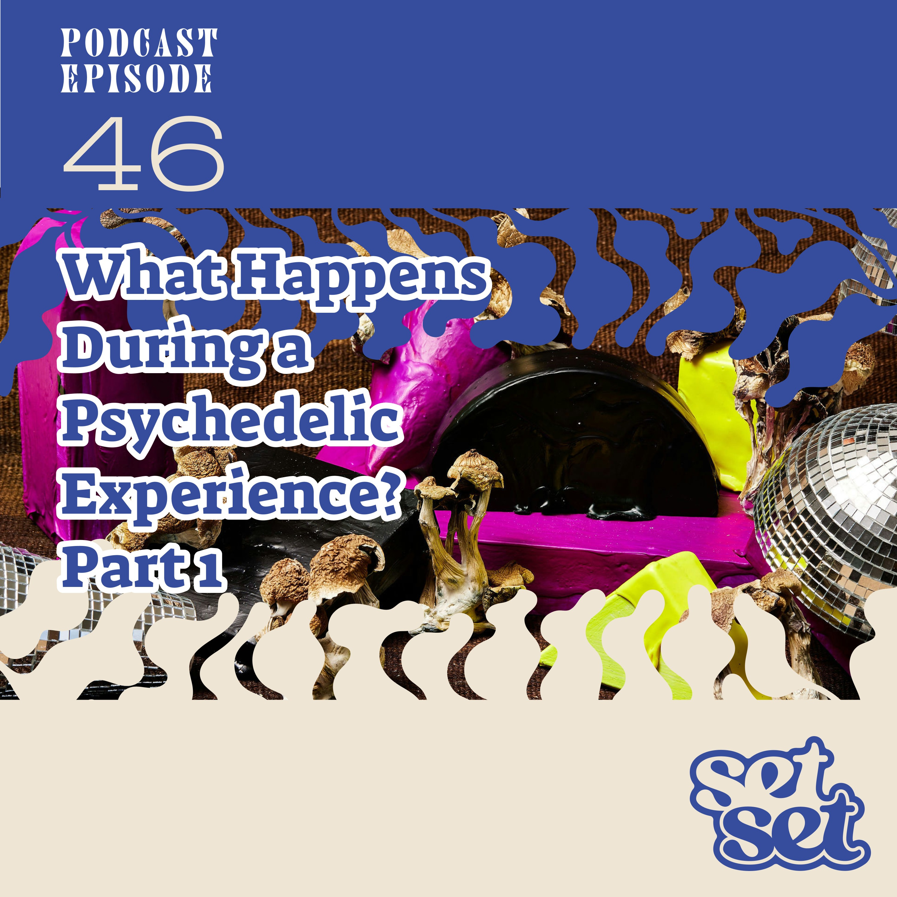 Ep. 46 | Psychedelic Healing by Cultivating the Witness episode artwork