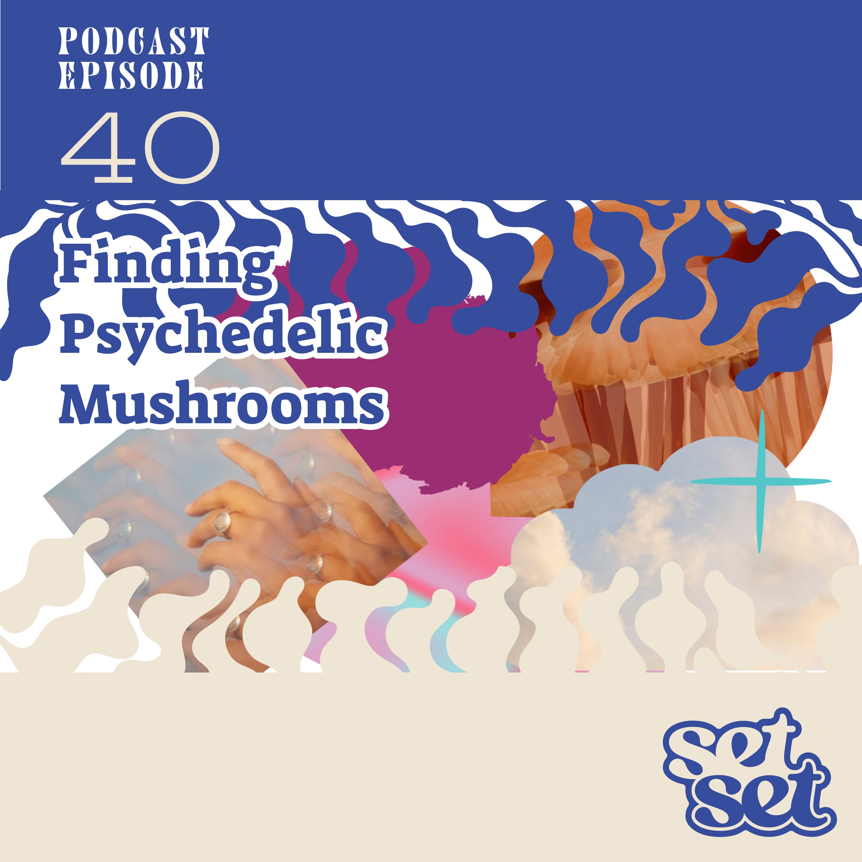 Ep. 40 | Psilocybin Mushrooms 101: Effects, Dosing, and Tips episode artwork