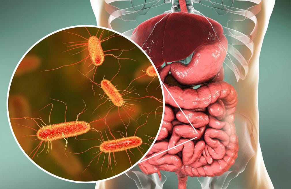 Heather\'s IBS Newsletter - Help for Irritable Bowel Syndrome.