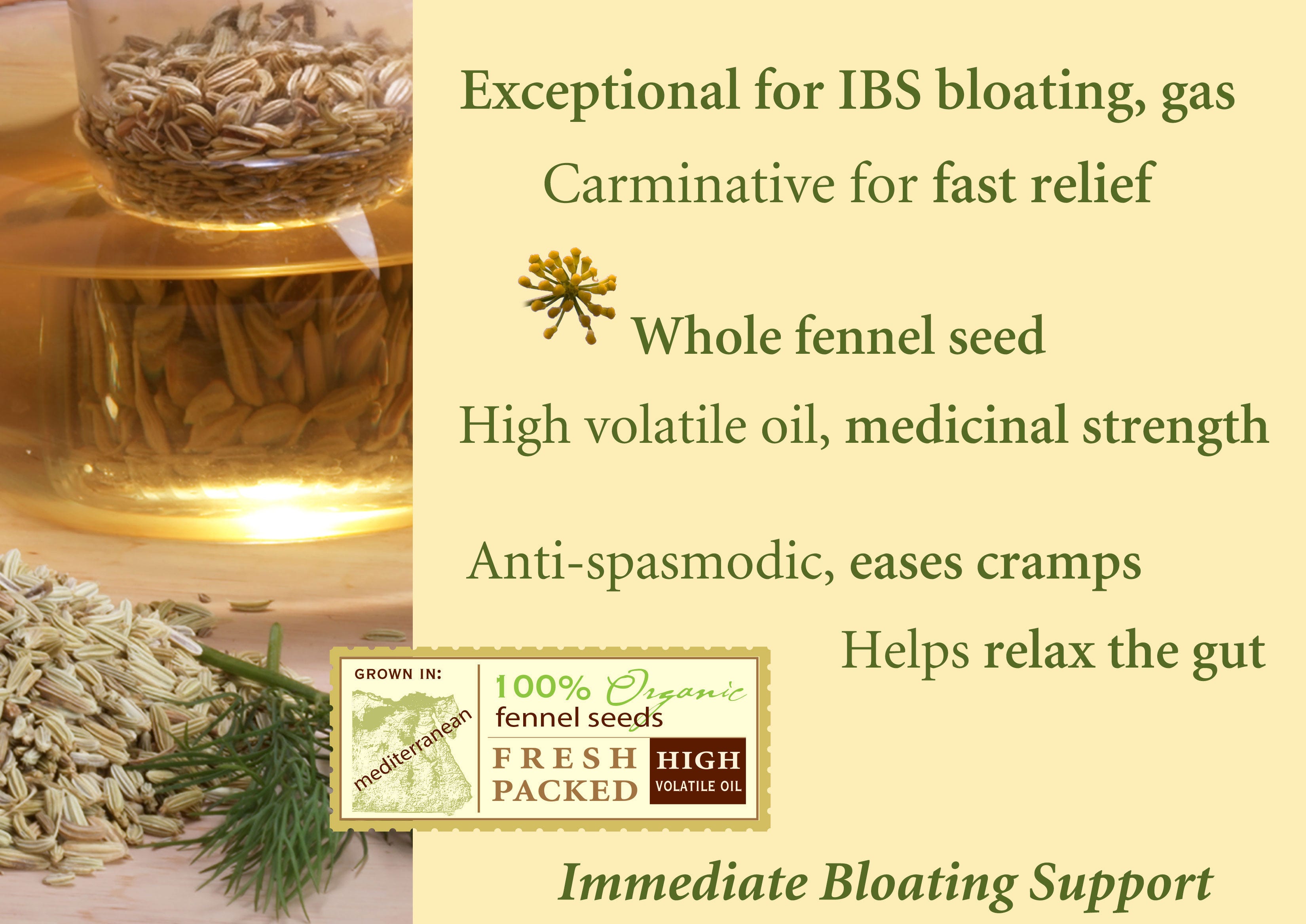 Heather\'s IBS Newsletter - Help for Irritable Bowel Syndrome.