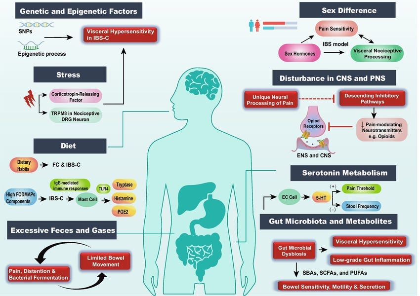 Heather\'s IBS Newsletter - Help for Irritable Bowel Syndrome.