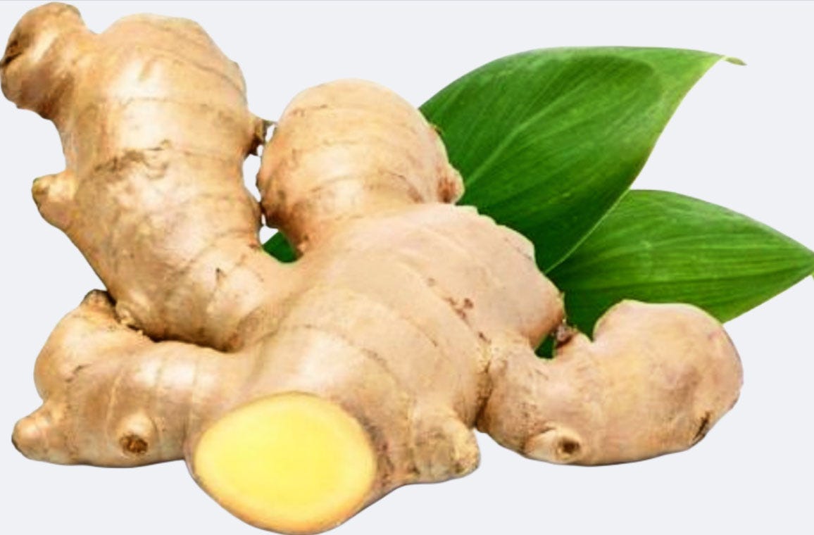 Heather\'s IBS Newsletter - Help for Irritable Bowel Syndrome.