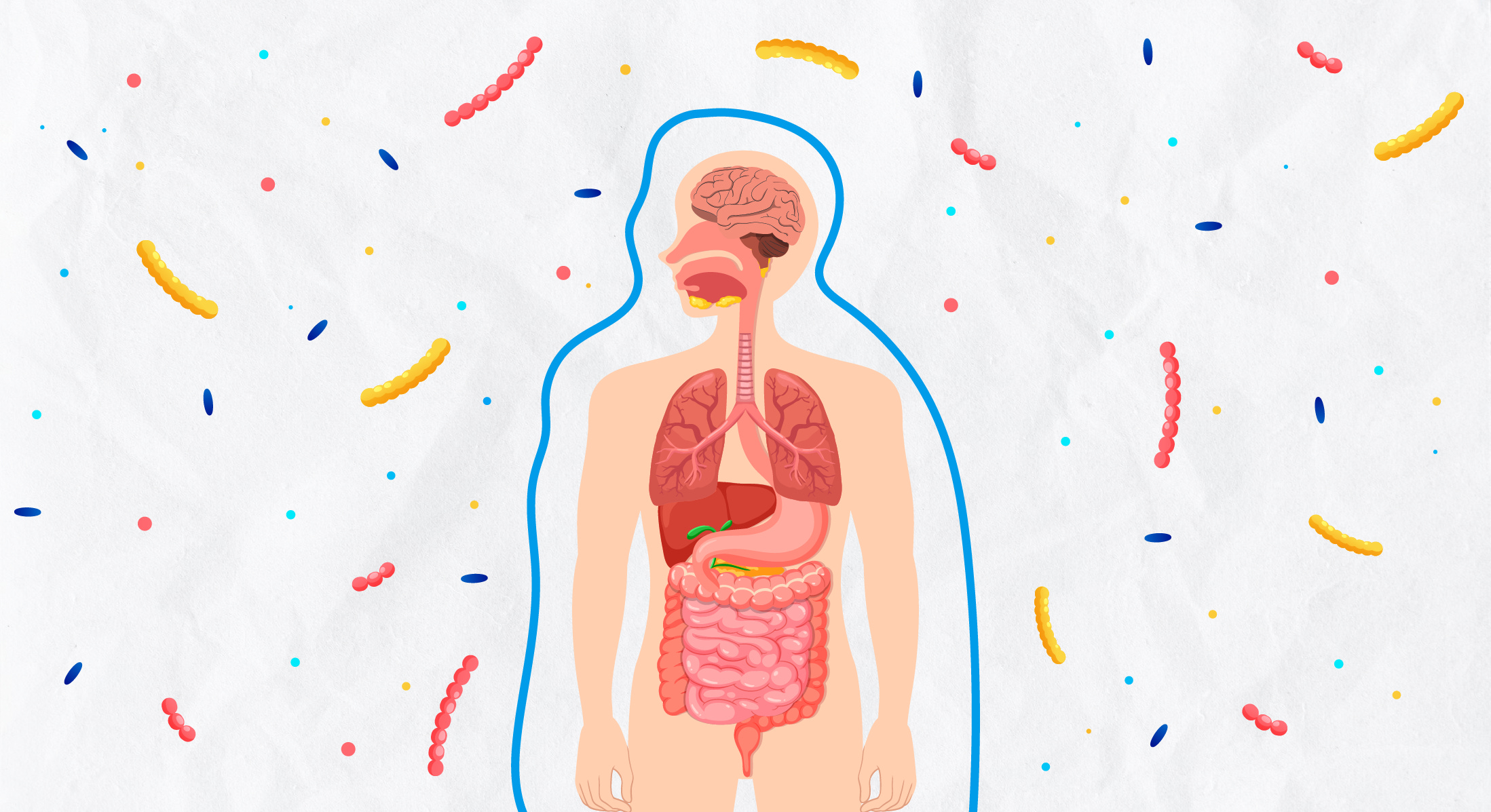 Audio. IBS news flash. What happens in the gut doesn’t stay in the gut episode artwork