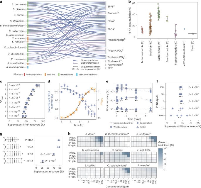 Heather\'s IBS Newsletter - Help for Irritable Bowel Syndrome.