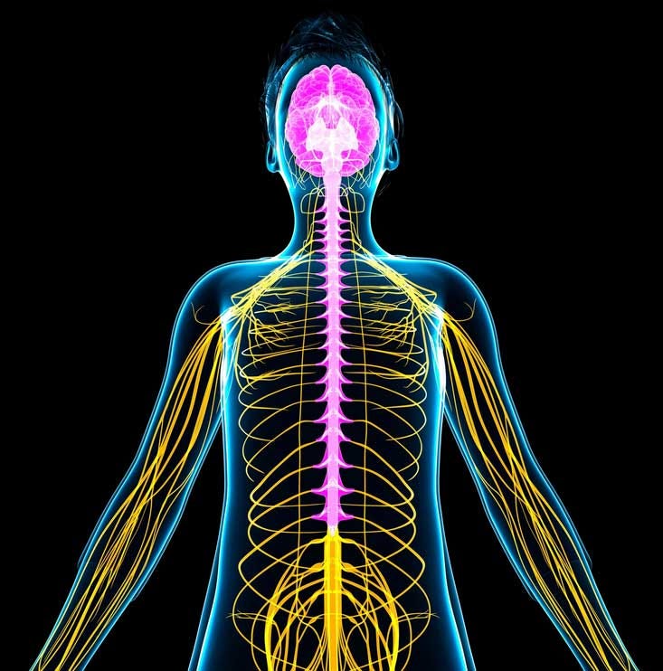 Heather\'s IBS Newsletter - Help for Irritable Bowel Syndrome.