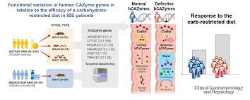 Heather\'s IBS Newsletter - Help for Irritable Bowel Syndrome.