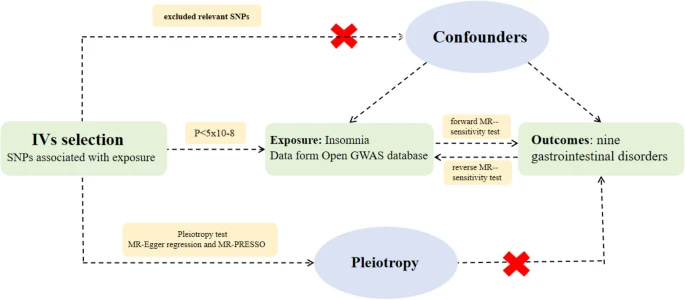 Audio. IBS news flash. Link between insomnia and multiple gastrointestinal disorders episode artwork