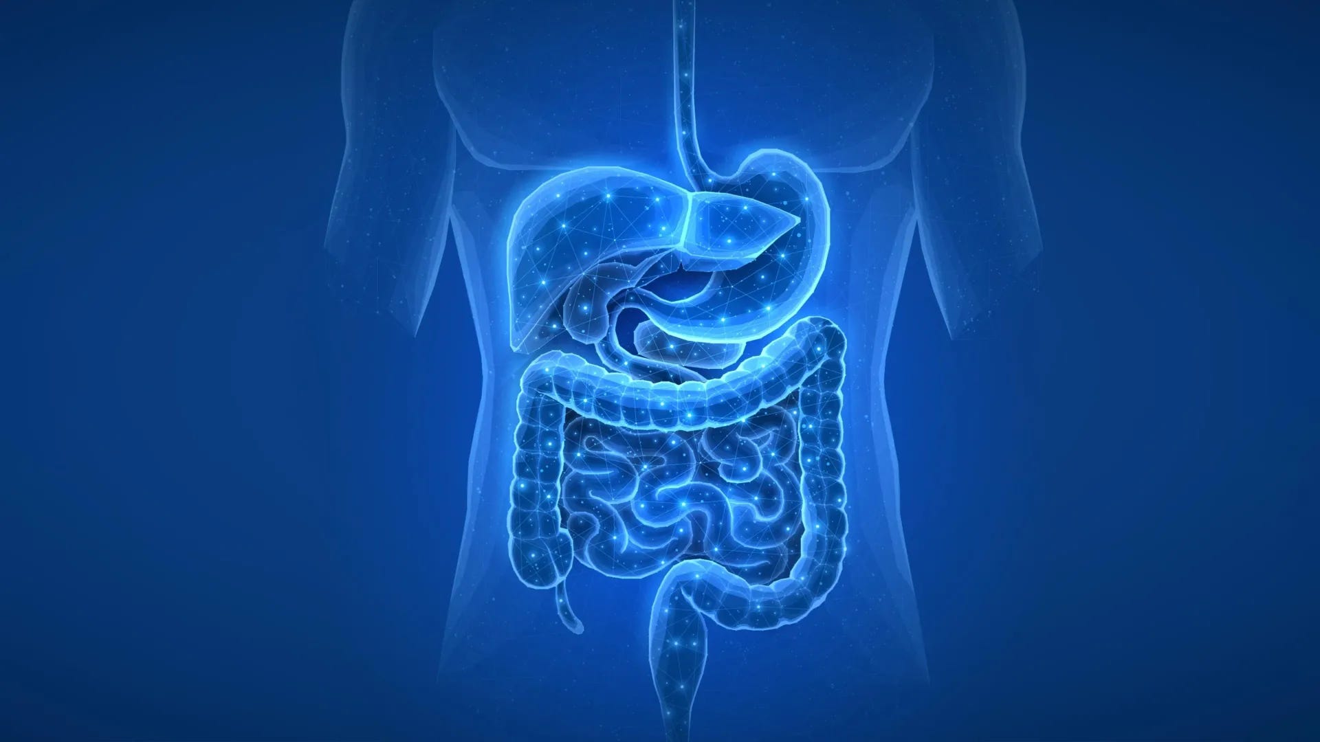 Audio. IBS news flash. Antacids, antidepressants, antibiotics can change your gut for decades episode artwork