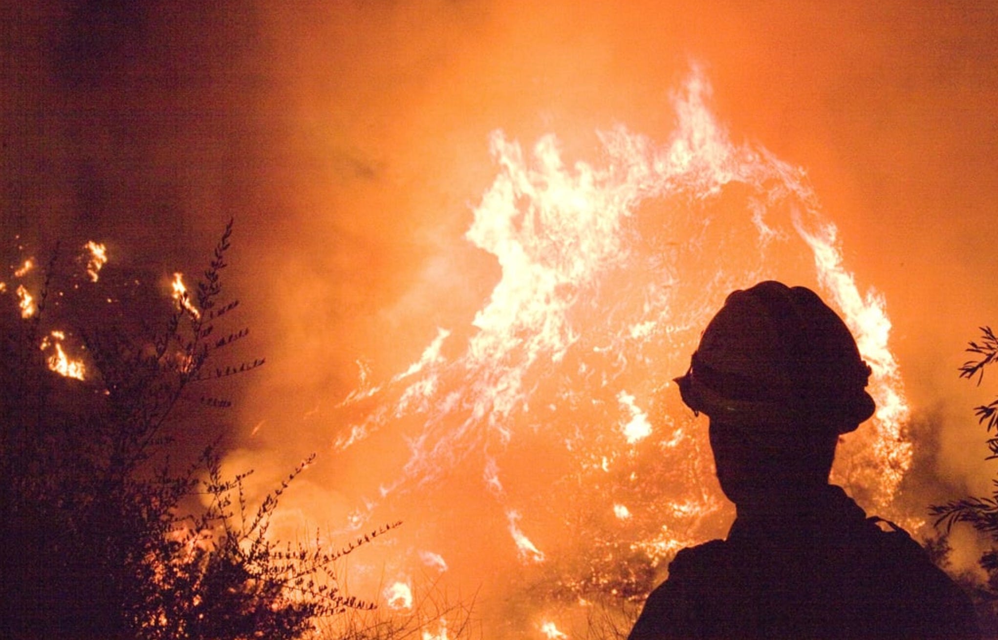 Climate Action is Now Harm Reduction