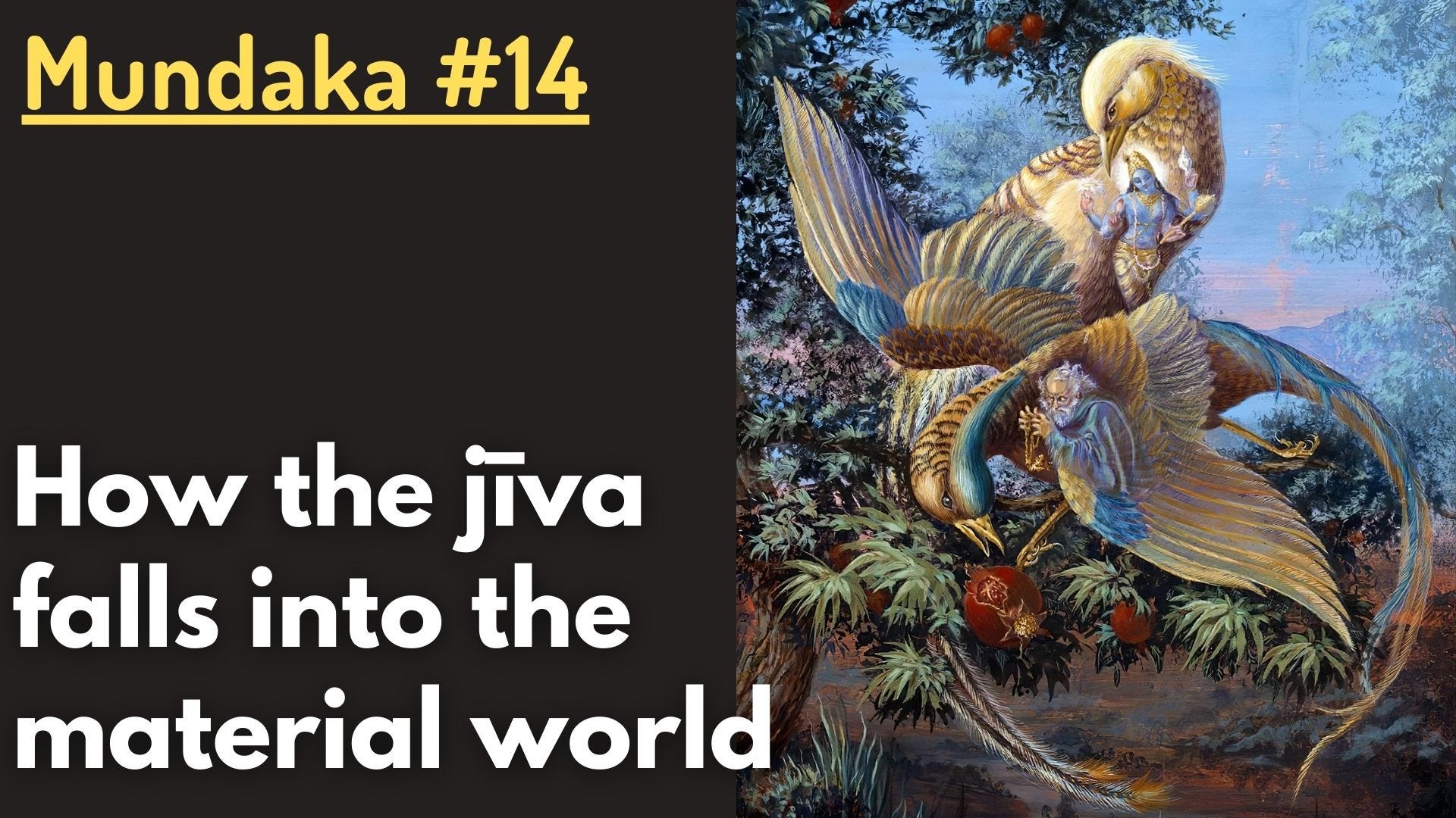 How the jīva falls into the material world (Mundaka Upaniṣad #14)