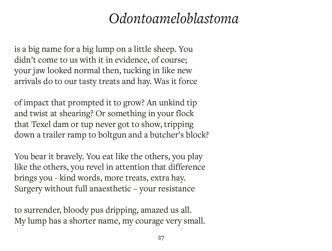 The Daily Aftershock (Writing Prompt)