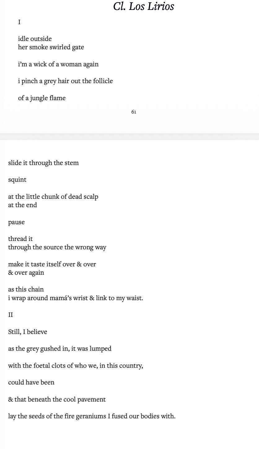 Cl. Los Lirios by Soledad Santana Cl. Los Lirios by Soledad Santana