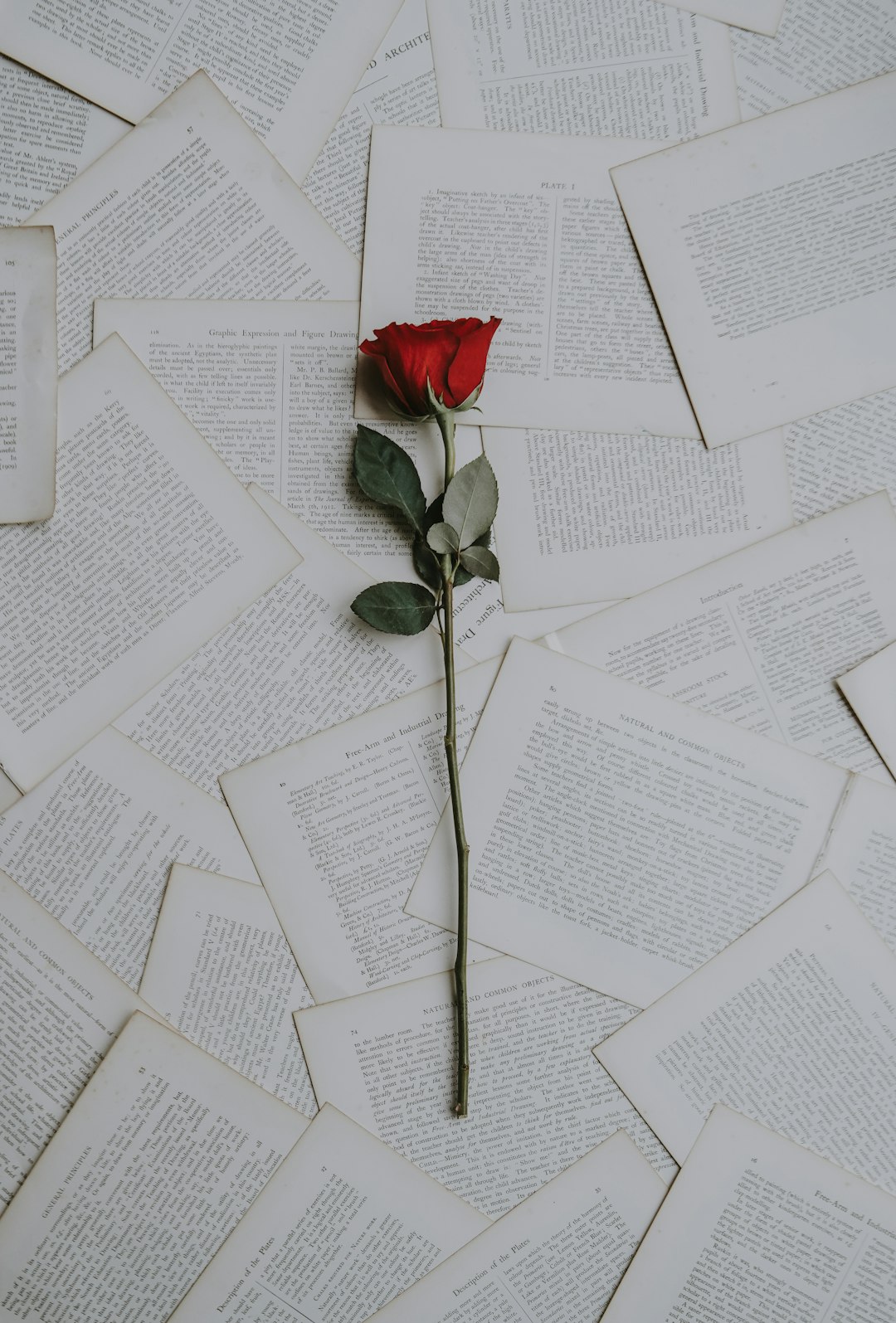 #WeNeedToTalk: Love & Moral Clarity