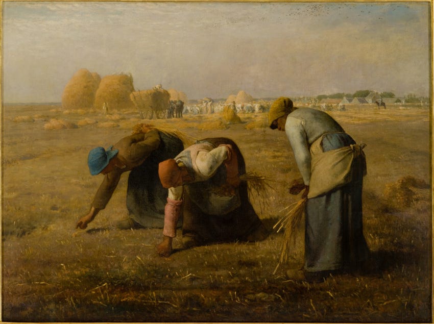Thirty-Seven Harvests or French Gleaning as a Hobby Thirty-Seven Harvests or French Gleaning as a Hobby