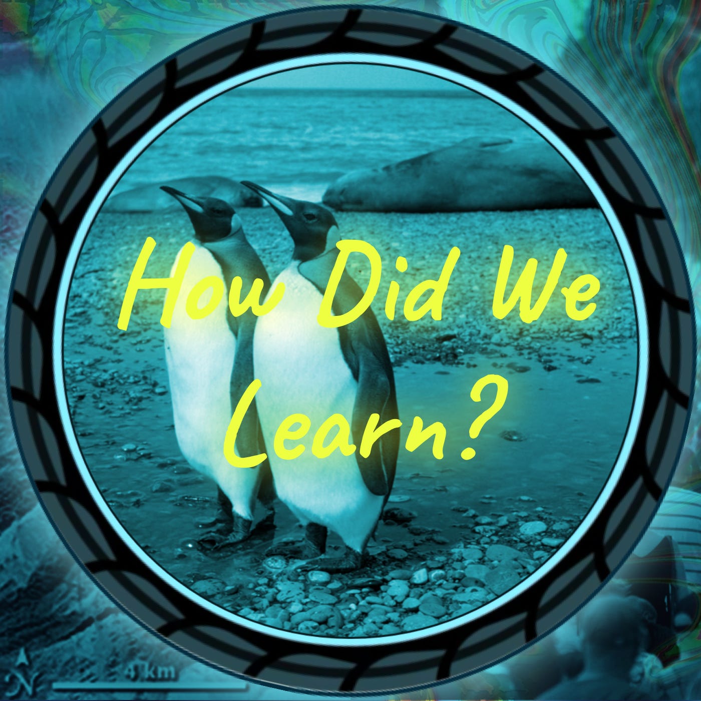 How Did We Learn? episode artwork