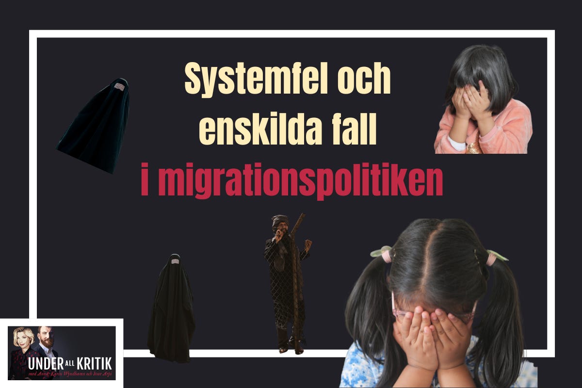Systemfel och enskilda fall i migrationspolitiken