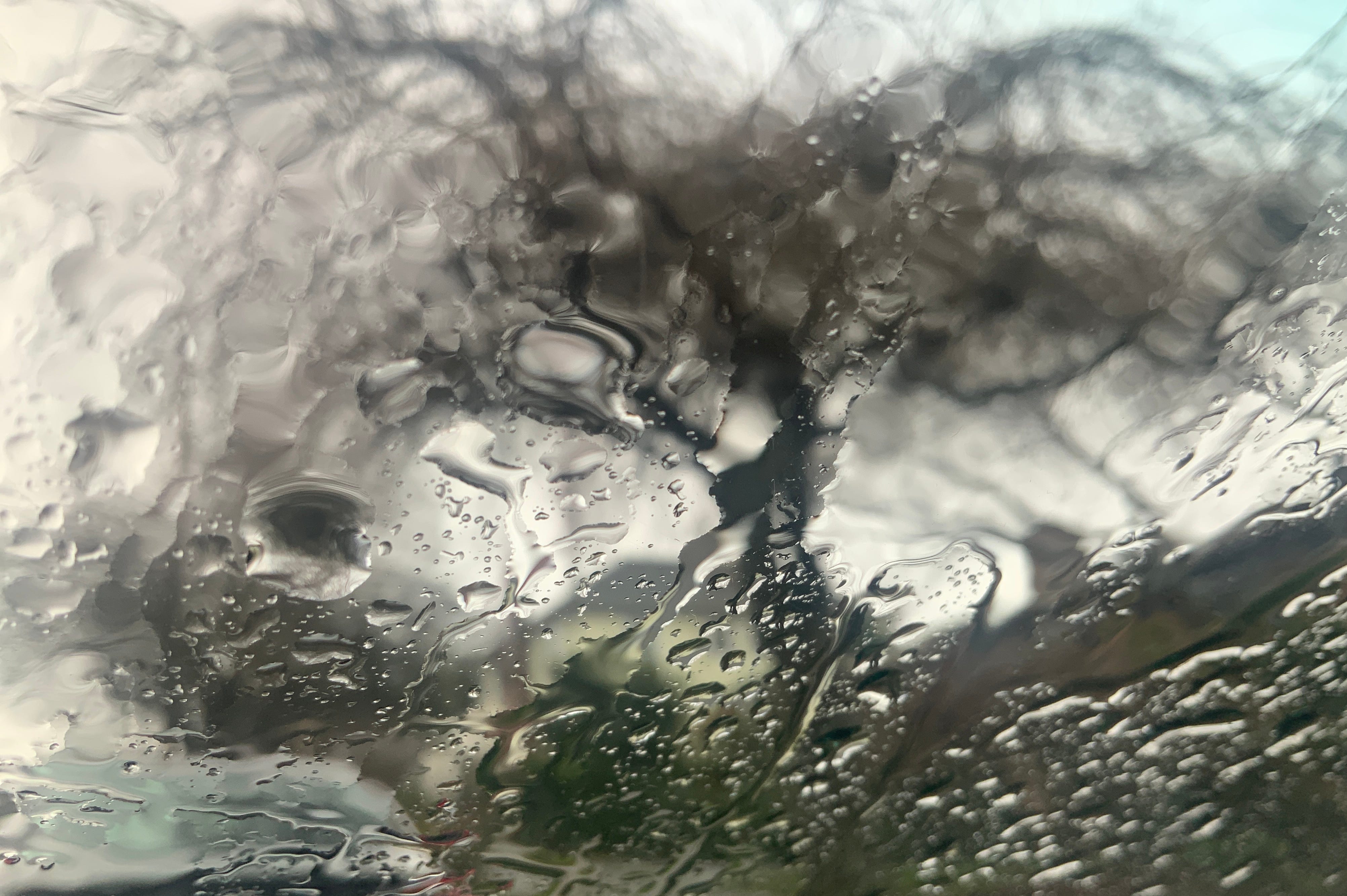 The Rain is Why I Live in Seattle episode artwork