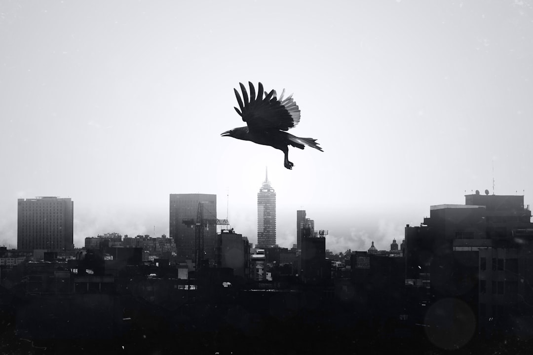 Flight Envy episode artwork