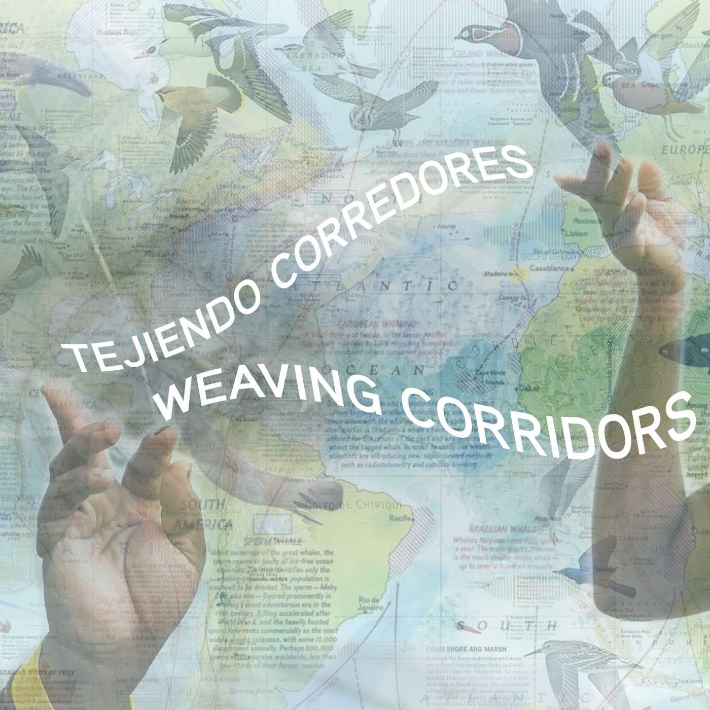 Lucia Pietroiusti from Serpentine Galleries and the potential role of cultural institutions in an ecological society