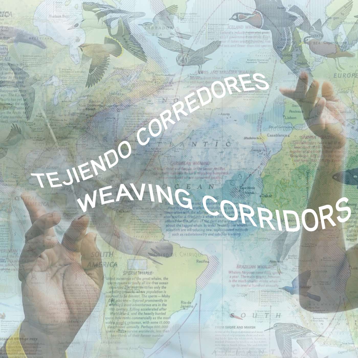 Almanaque Azul y su mapa de Corredores naturales de Panamá