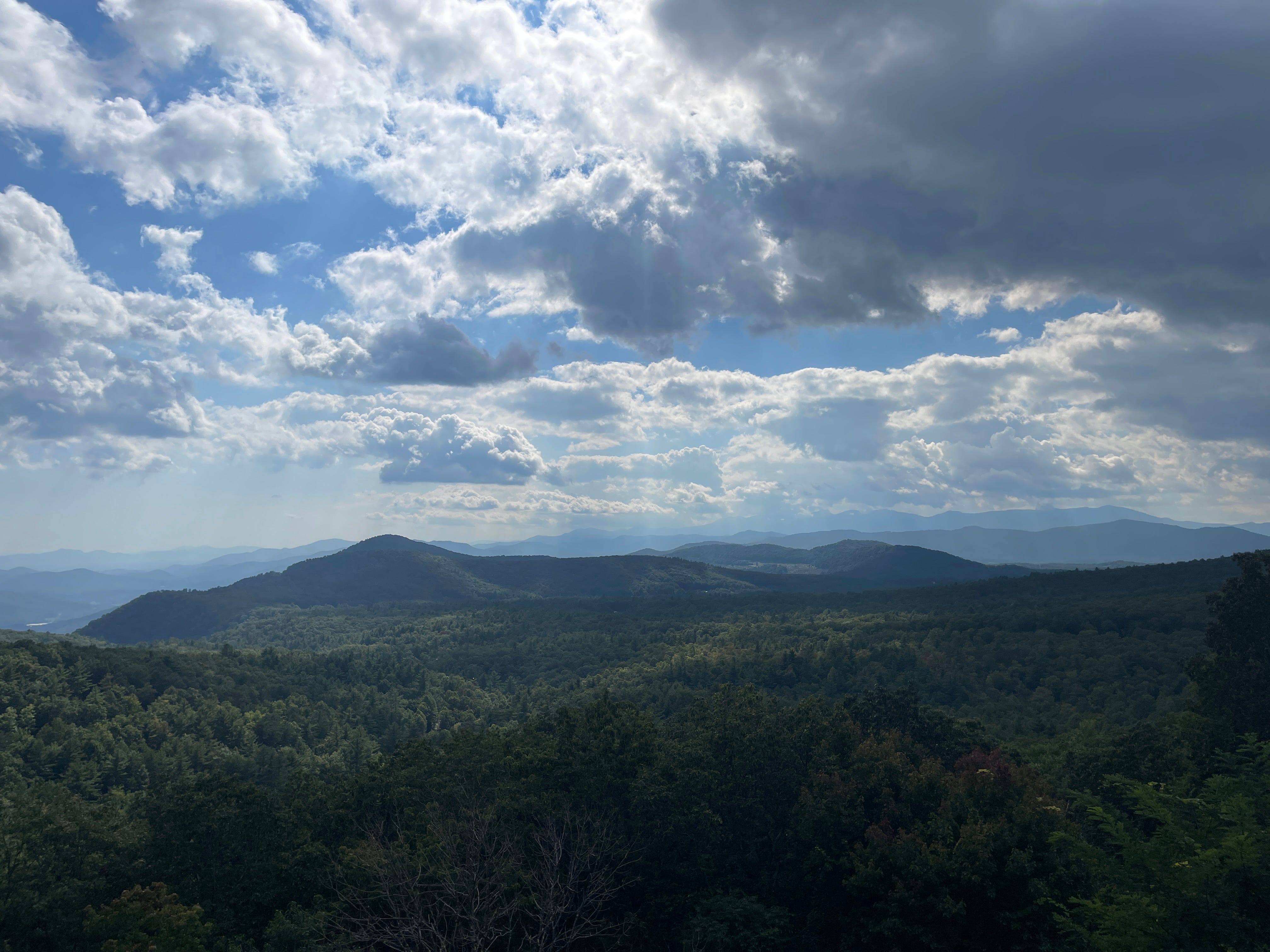 Wu Fei\'s Music Daily